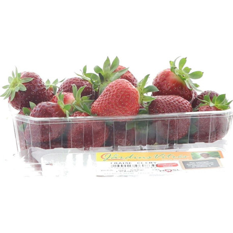 FRAISE MOSELLE FILME 10X500G